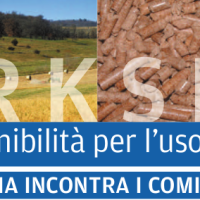 Workshop – Principi di sostenibilità per l’uso delle biomasse Schermata del 2013-07-02 10:18:08