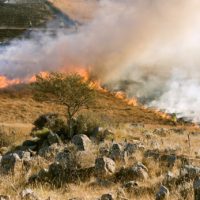 COORDINAMENTO FREE DE SANTOLI: «STUPISCE ASSOCIAZIONE TRA INCENDI E FOTOVOLTAICO. RINNOVABILI SONO UN PRESIDIO DI SICUREZZA SUL TERRITORIO» grass-fire-807388_1280