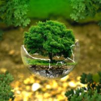 EARTH DAY E RINNOVABILI. SERVE PRENDERSI RESPONSABILITÀ PER TEMPI BREVI E CERTI environmental-protection-326923_1280