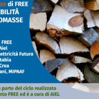 WEBINAR FREE E AIEL: SOSTENIBILITÀ DELLE BIOMASSE cover aiel fissa